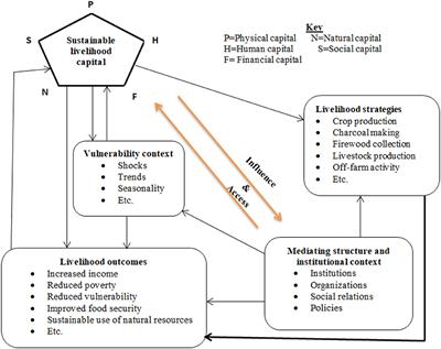 The urge for just transition: Evidence from understanding of wood fuel producers' livelihoods and vulnerability in the drylands of Ethiopia